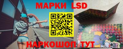 стаф Бугуруслан