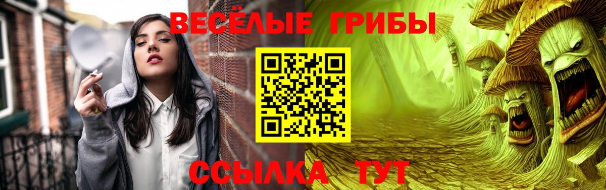 Галлюциногенные грибы GOLDEN TEACHER  Вход с VPN  Псилоцибиновые грибы Psilocybe  Новомосковск 