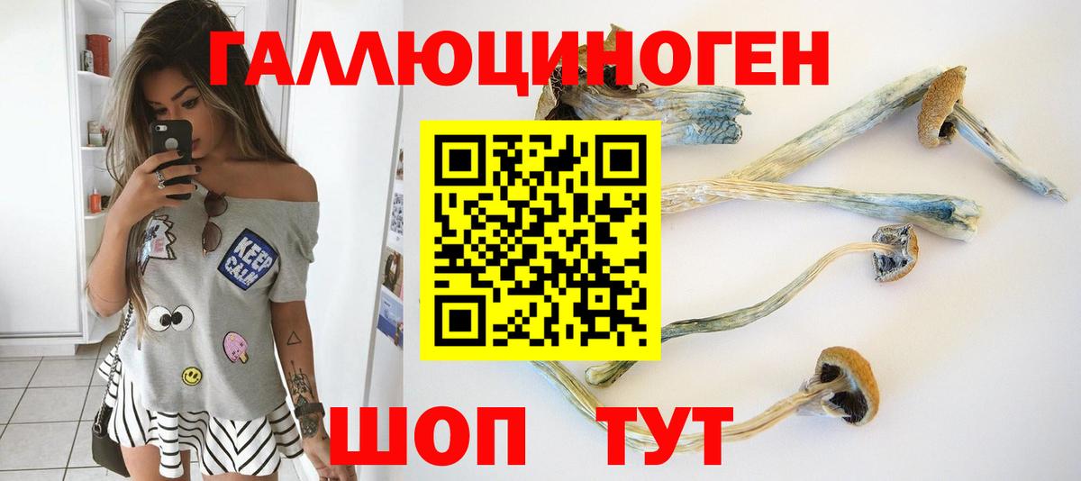 Галлюциногенные грибы мицелий Новомосковск